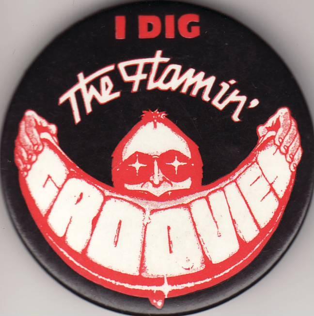 I-DIG-THE-FLAMIN-GROOVIES