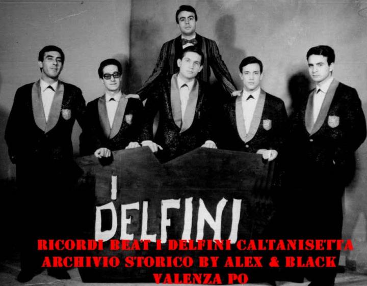 I Delfini