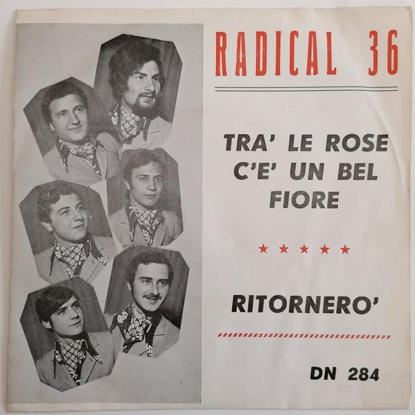 Radical 36